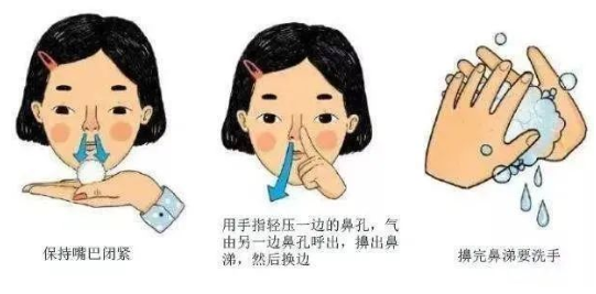 【听力科普】从零开始的日常听力保健(中耳篇)(图2) 【听力科普】从零开始的日常听力保健(中耳篇)(图2)